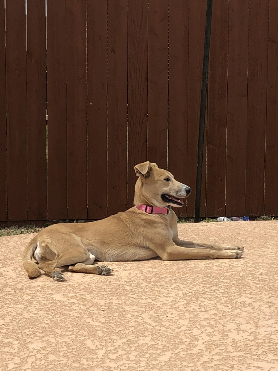 BURLY B⭕️⭕️MER ☝🏼 tweet media