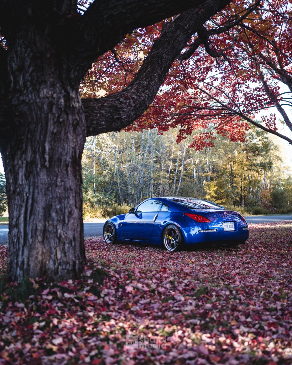 ShafeiMedia's tweet photo. Autumn 🍂 #nissan350z https://t.co/oWpFOIfXsC