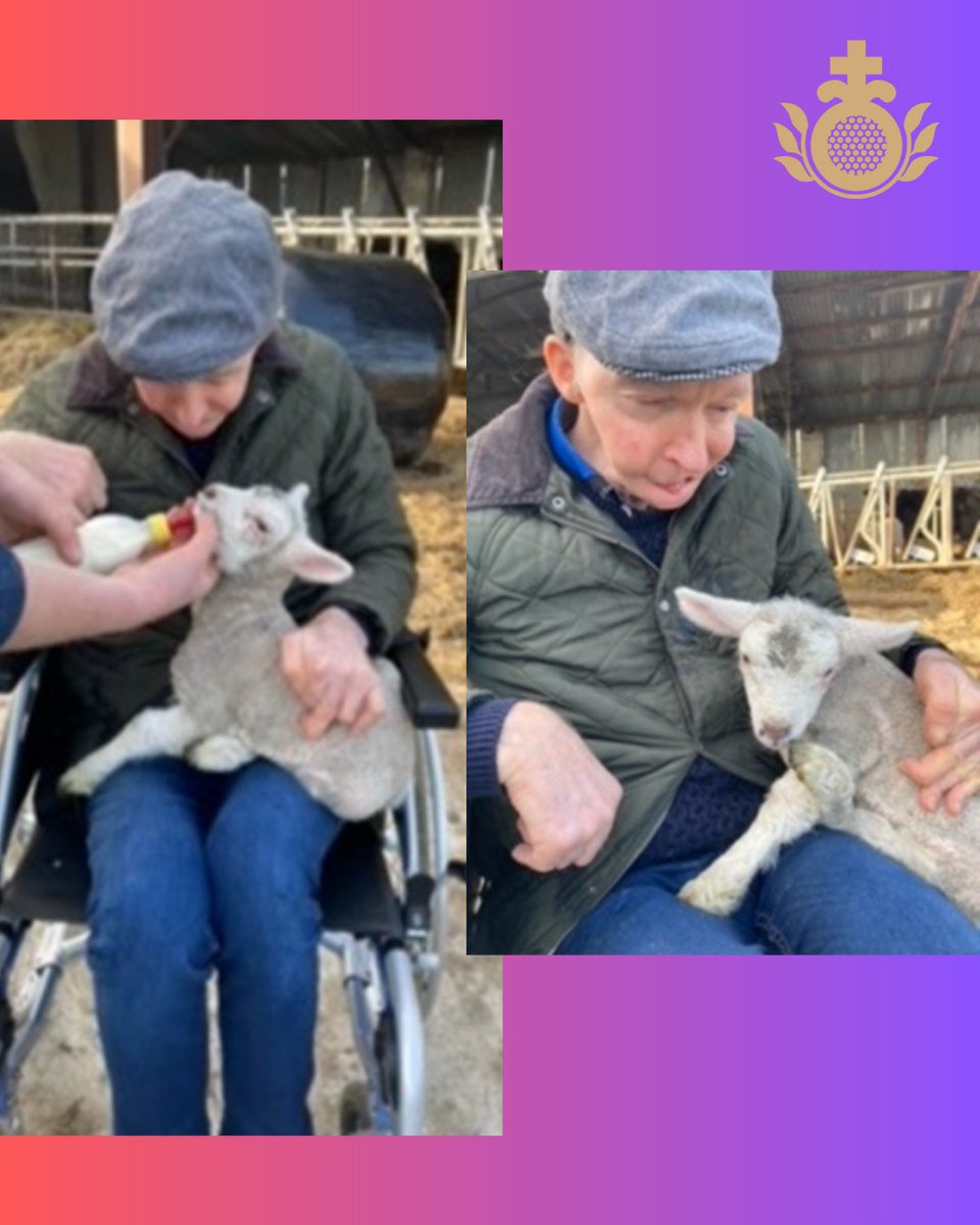sjogcs's tweet photo. Sean, a day on the farm
#intellectualdisabilityawareness #saintjohnofgodcommunityawareness https://t.co/WZGr7sWV7Q