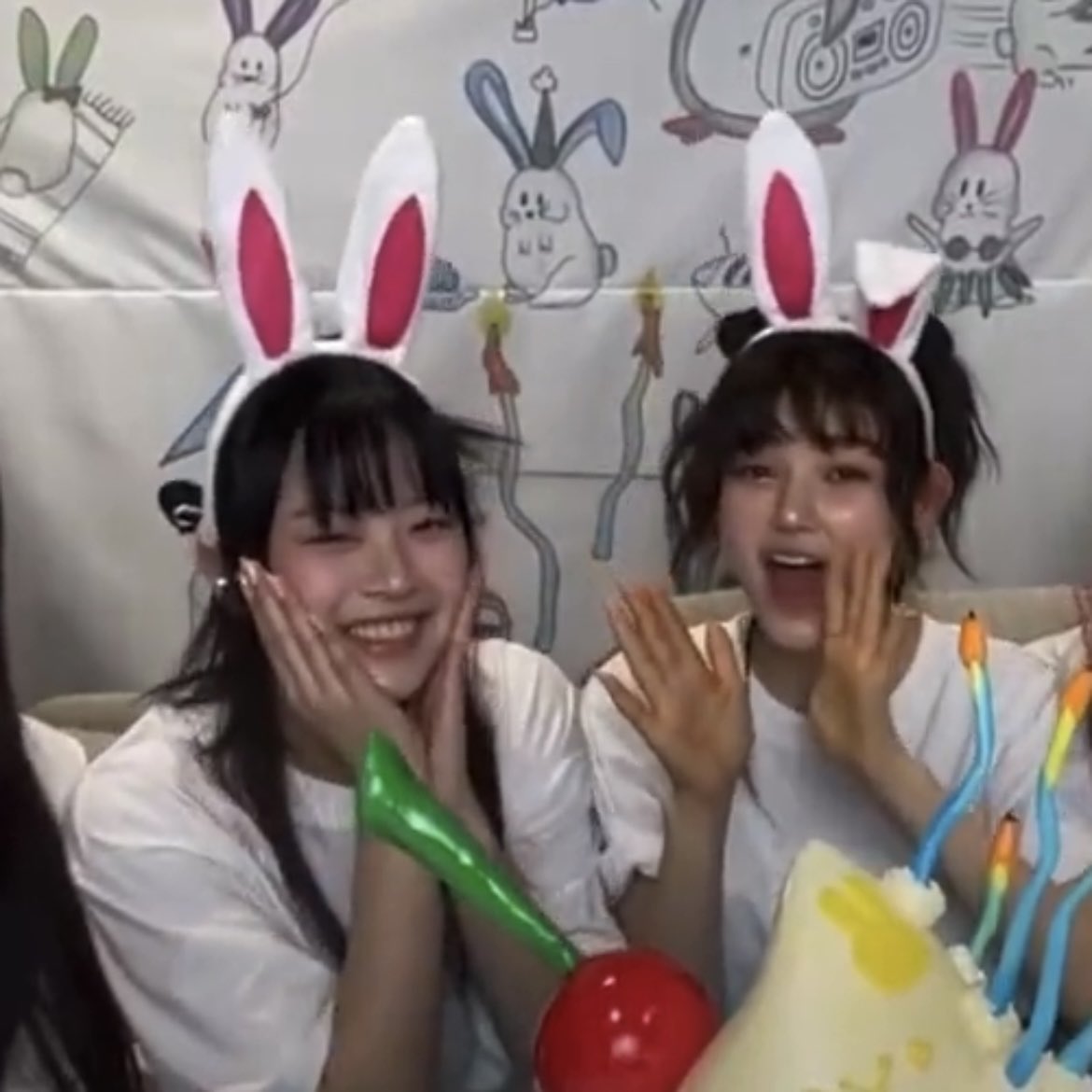 archivehanni's tweet photo. bunny niniz! https://t.co/sUoNW455vA