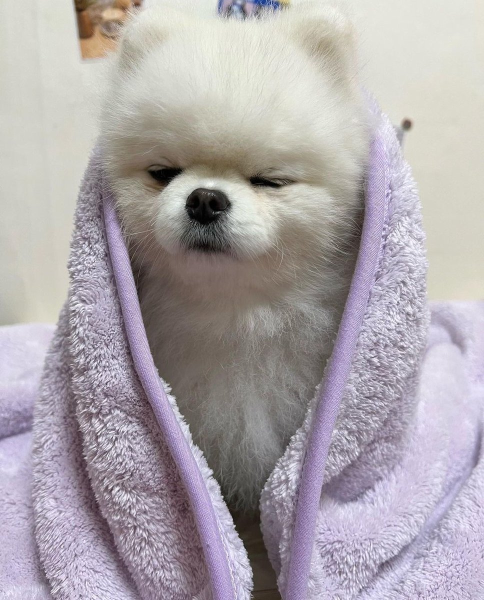 Mayo is still alive 😇