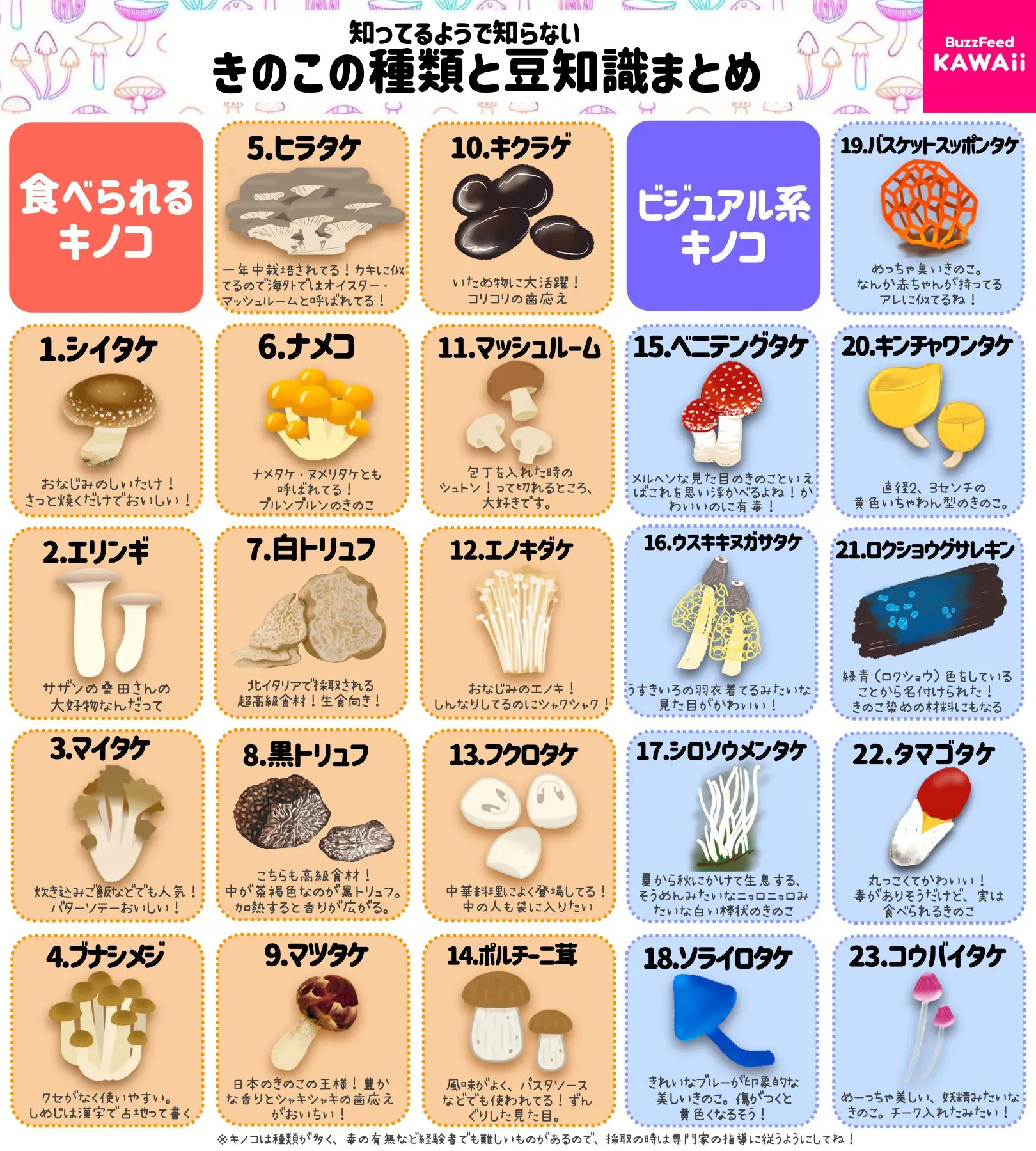 BuzzFeed🌻Kawaii on X: 