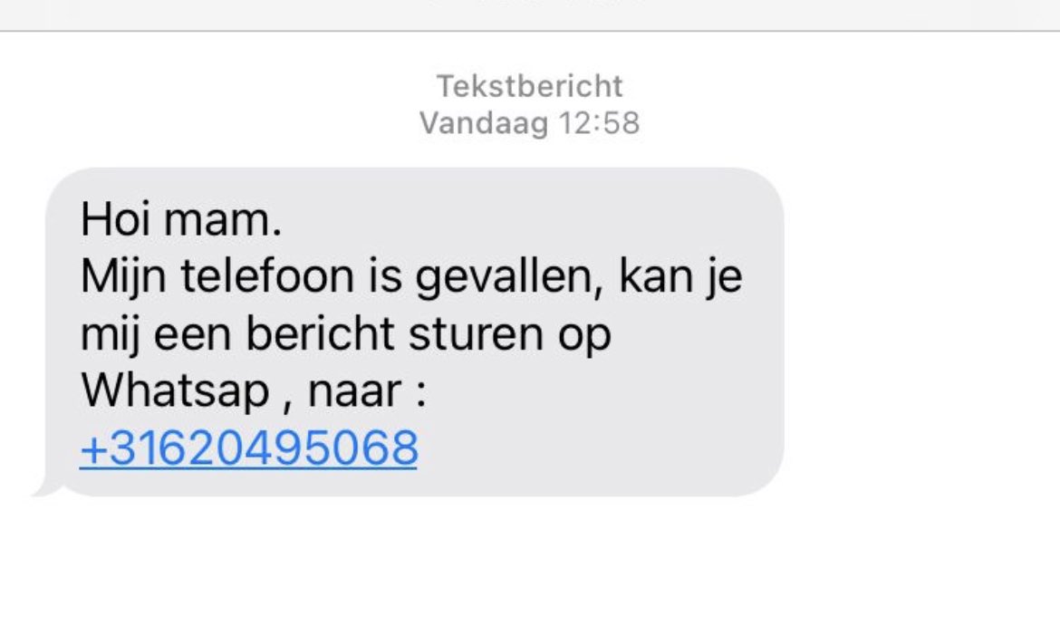 Johan Dubbeldam tweet media