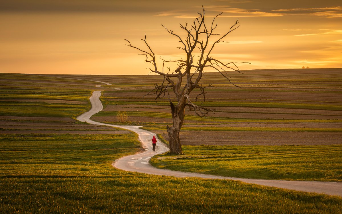 MajaSenda's tweet photo. ©Adrian Stănică https://t.co/kjaLknNfNS