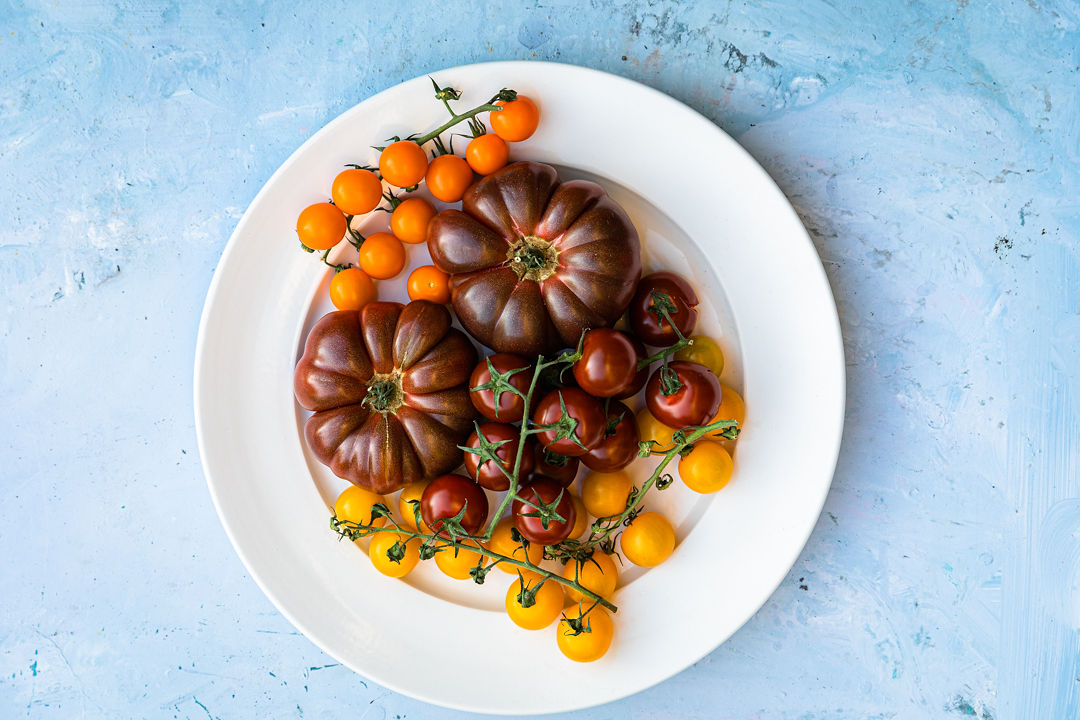 All the shades being shown off on our beautiful Plain Porcelain Platter Image: @JoanRansley bit.ly/3KuQXDC