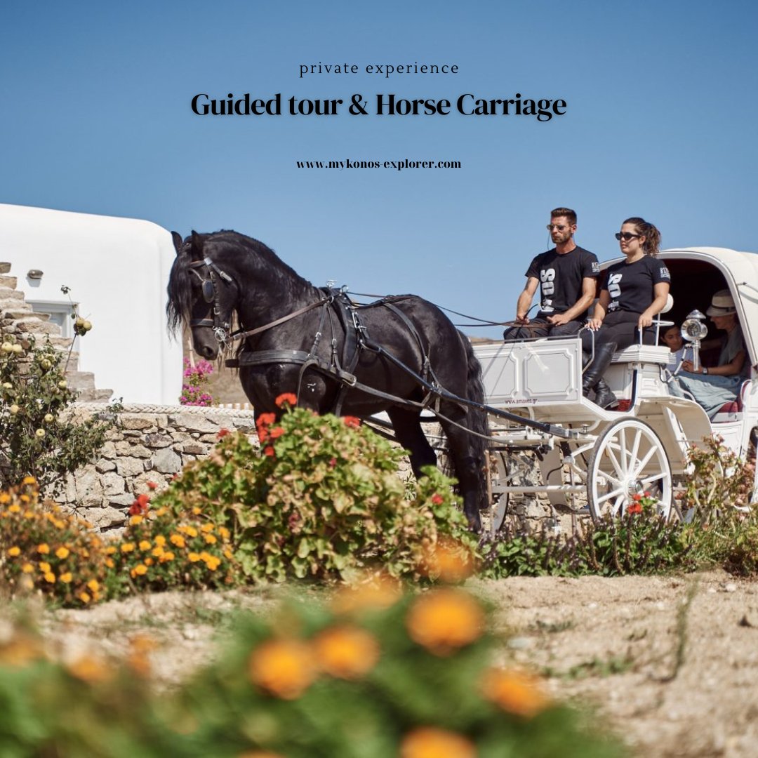 Enjoy a private guided tour through mykonian tradition and discover treasures hidden in time of an authentic life!

Book now 👉 tinyurl.com/55ywdecr

#MykonosExplorer #DiscoverMykonos #Greece #experience #Mykonosippos #mykonos