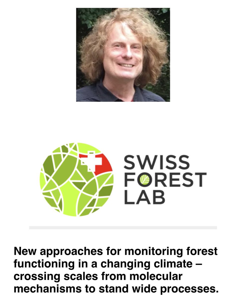 International Tree Mortality Network tweet media
