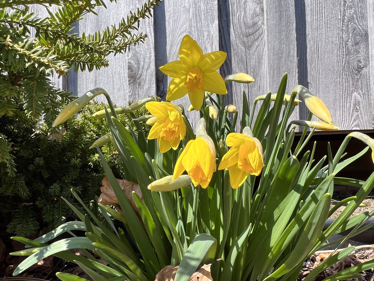 Diane Des🌹 tweet media