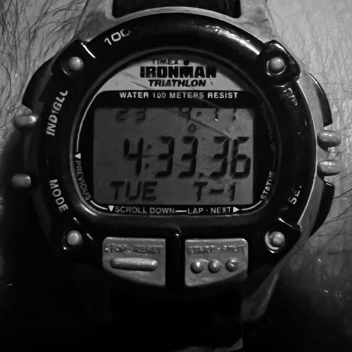 jockowillink's tweet photo. You have to do it. https://t.co/NllXhYJ9Fz