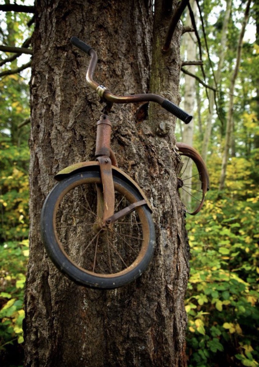 Ei tius!!! Que fort que fort!!!  
la meva bicicleta  ✌🏻