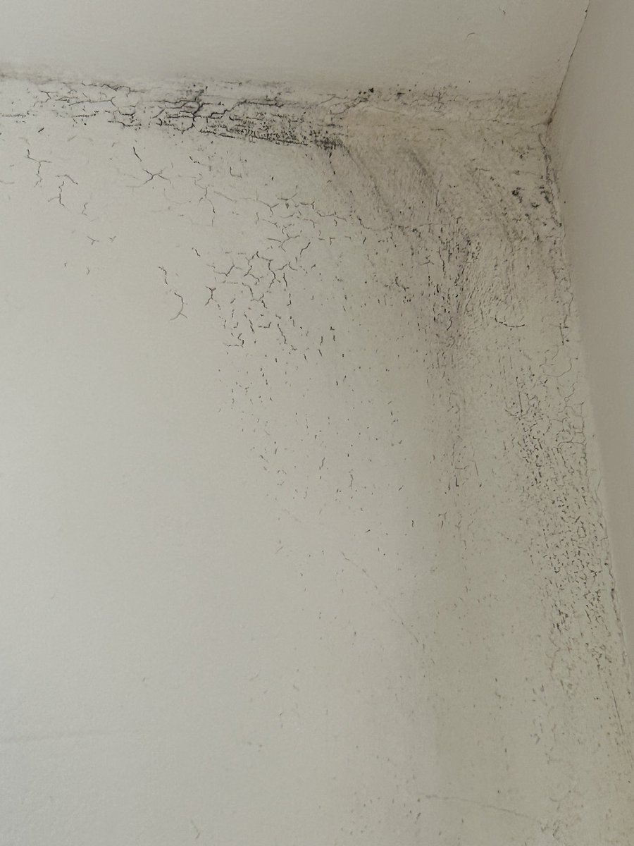 hdixon88's tweet photo. Apparently I don’t have mould or damp!
@LQcontactus @LQHomesMatter 
When will my home matter? 
This is where my children have to sleep https://t.co/fksFoZLjLV