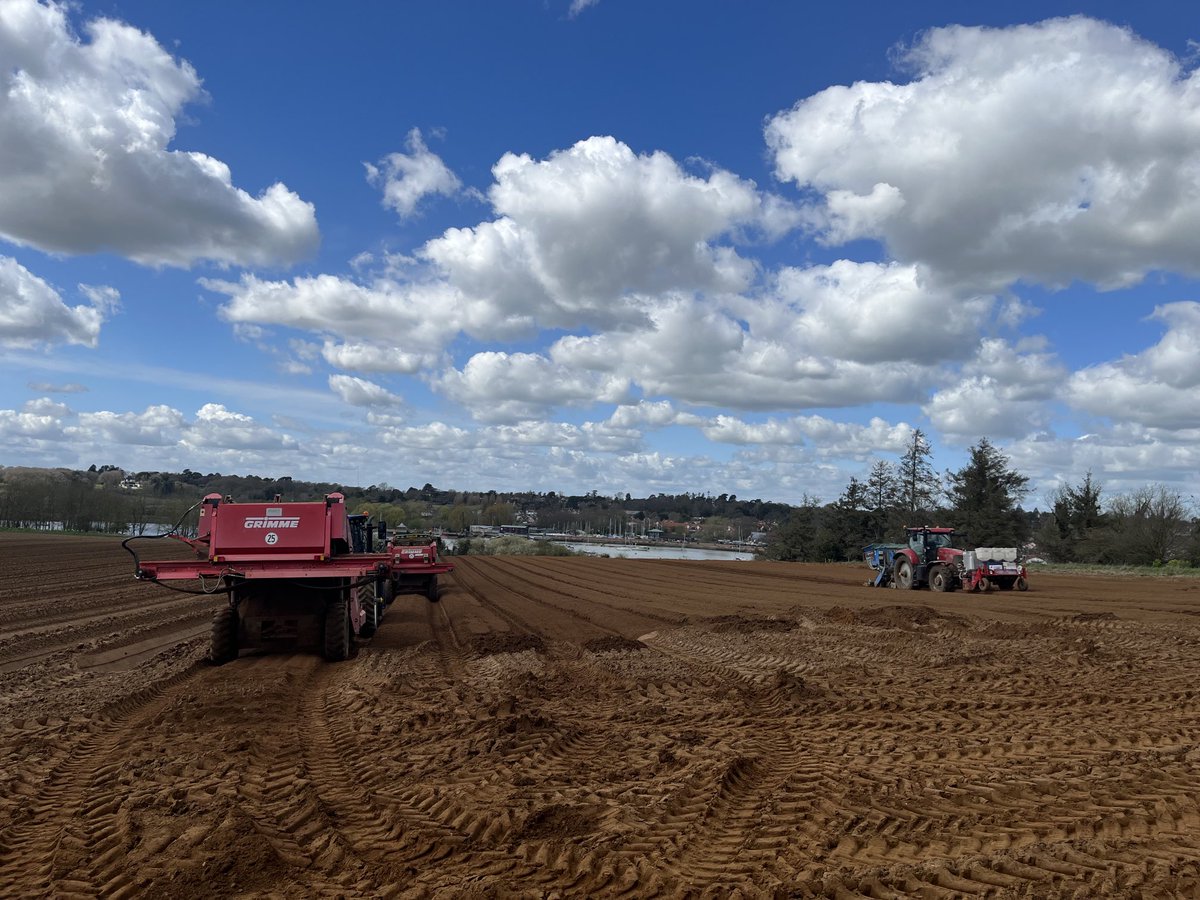 Big beautiful Suffolk skies. Planting Charlotte salad potatoes today with lovely Woodbridge in the background ⁦<a href="/CapelStAndrewFm/">Capel St Andrew Farm</a>⁩