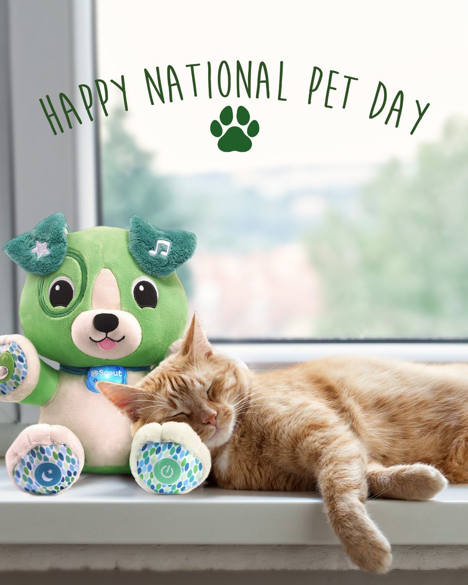 𝘚𝘩𝘩𝘩𝘩... Happy National Pet Day! 

🐾💚🐾 

#LeapFrog #MyPalScout #MyPalScoutSmartyPaws #IsScoutTheCatsPet #OrIsTheCatScoutsPet #WeMayNeverKnow #NationalPetDay #DogsAndCatsLivingTogether #MassHysteria