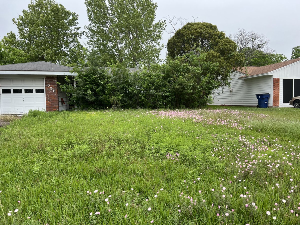 MerciRealty's tweet photo. #distress property for sale! Buy and flip opportunity in Texas City Msg me #realestateagents #investmentproperty https://t.co/0cfn6dnFDl
