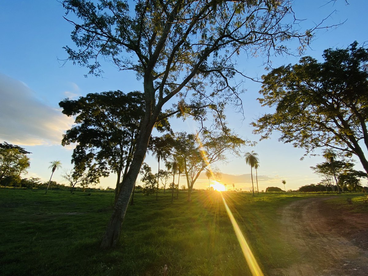 Que tu día esté lleno de pensamientos positivos, de amor, de salud y de prosperidad.