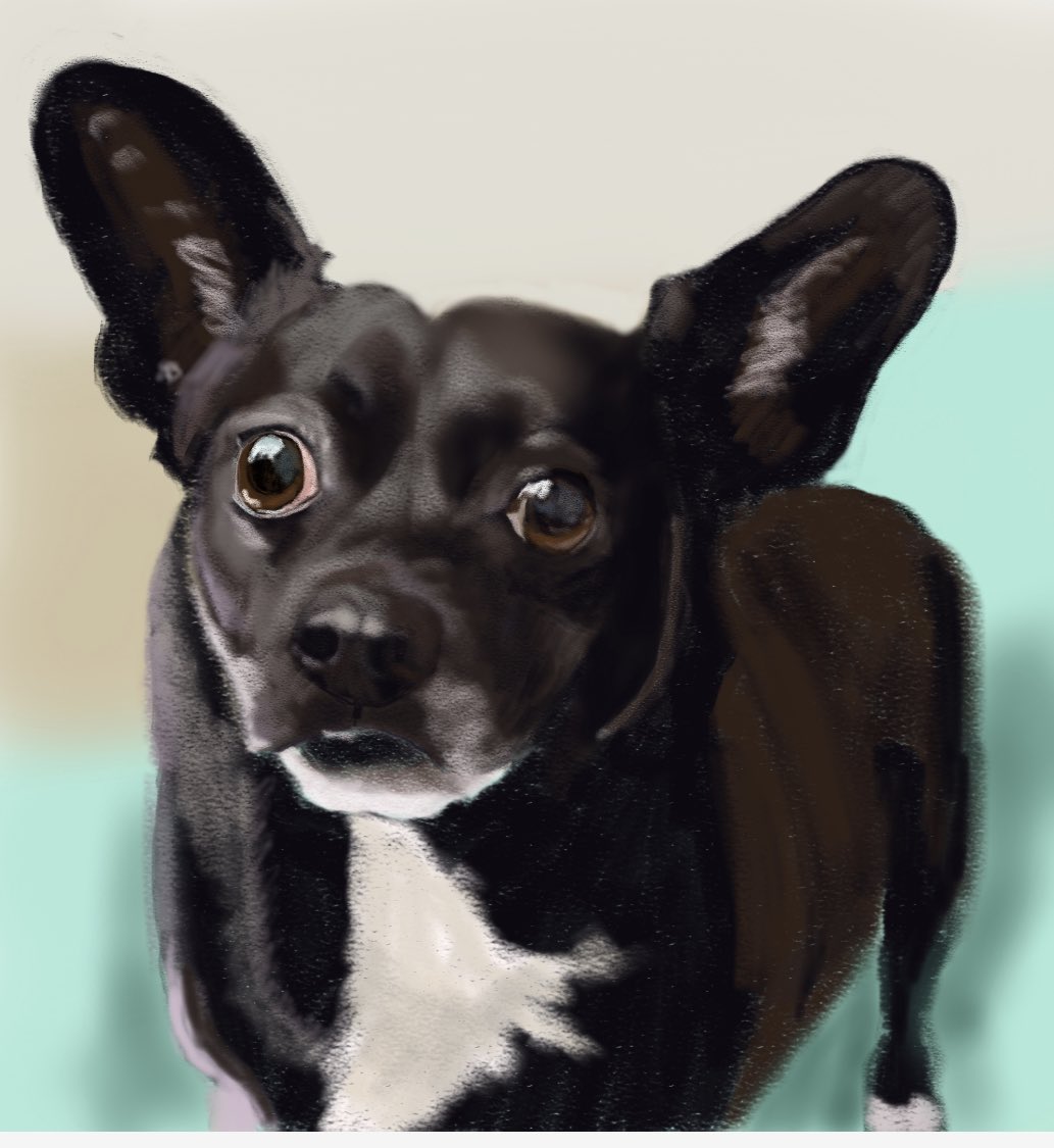 PORTRAIT REQUEST THREAD:  PLEASE READ ENTIRE THREAD*

If you would like a signed digital portrait of your pet(s), please leave a comment below with a good quality reference photo. 

Here are some if mom’s recent portraits: