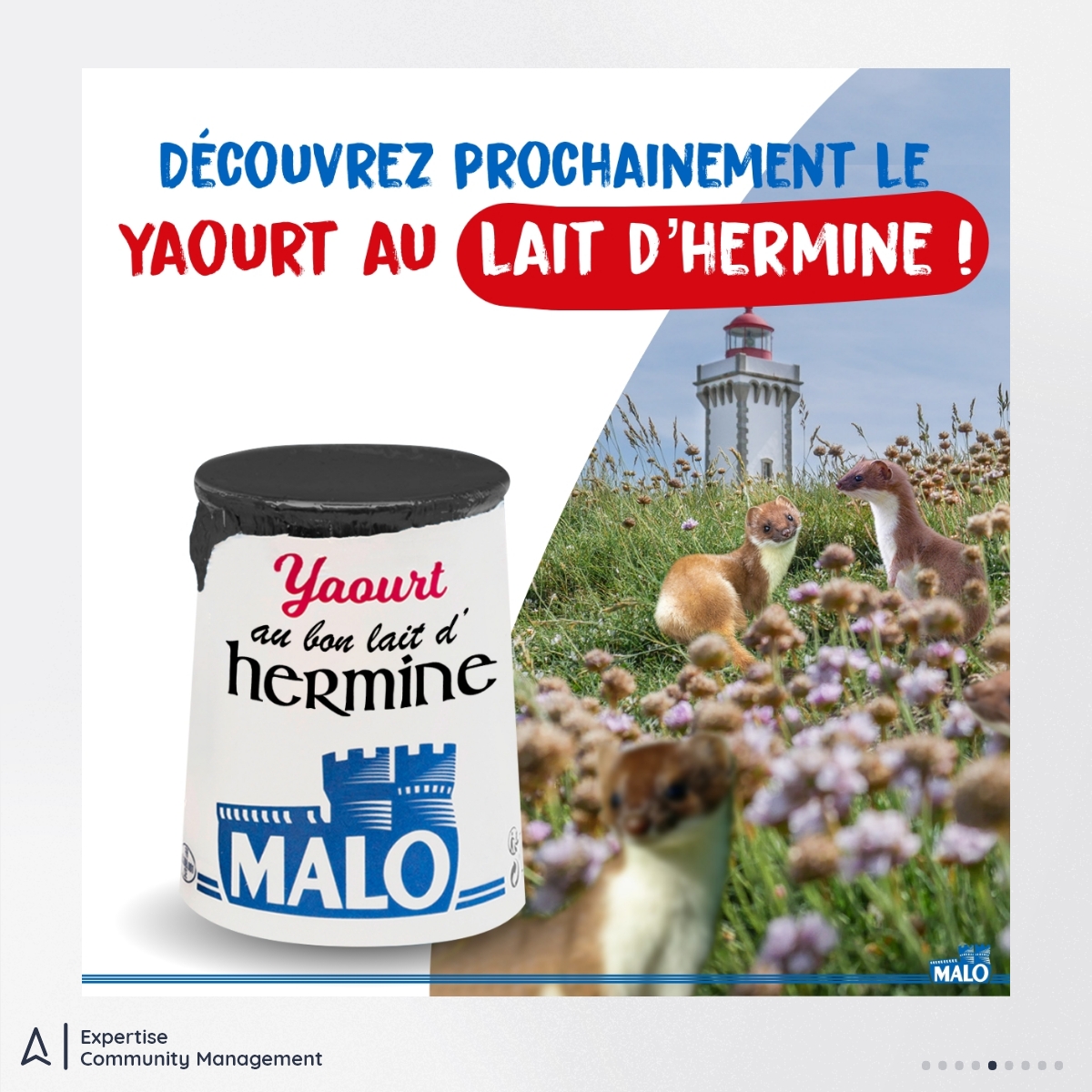 addviso's tweet photo. Chez Addviso, ce ne sont pas les idées qui manquaient pour le 1er avril ! 🐟 Oeufs sans jaune, yaourt au lait d'hermine, porte d'entrée en kit... nous avons réussi à piéger quelques abonnés. Et vous, quels sont les poissons d'avril qui vous ont marqués ? https://t.co/0xWWVybQq8