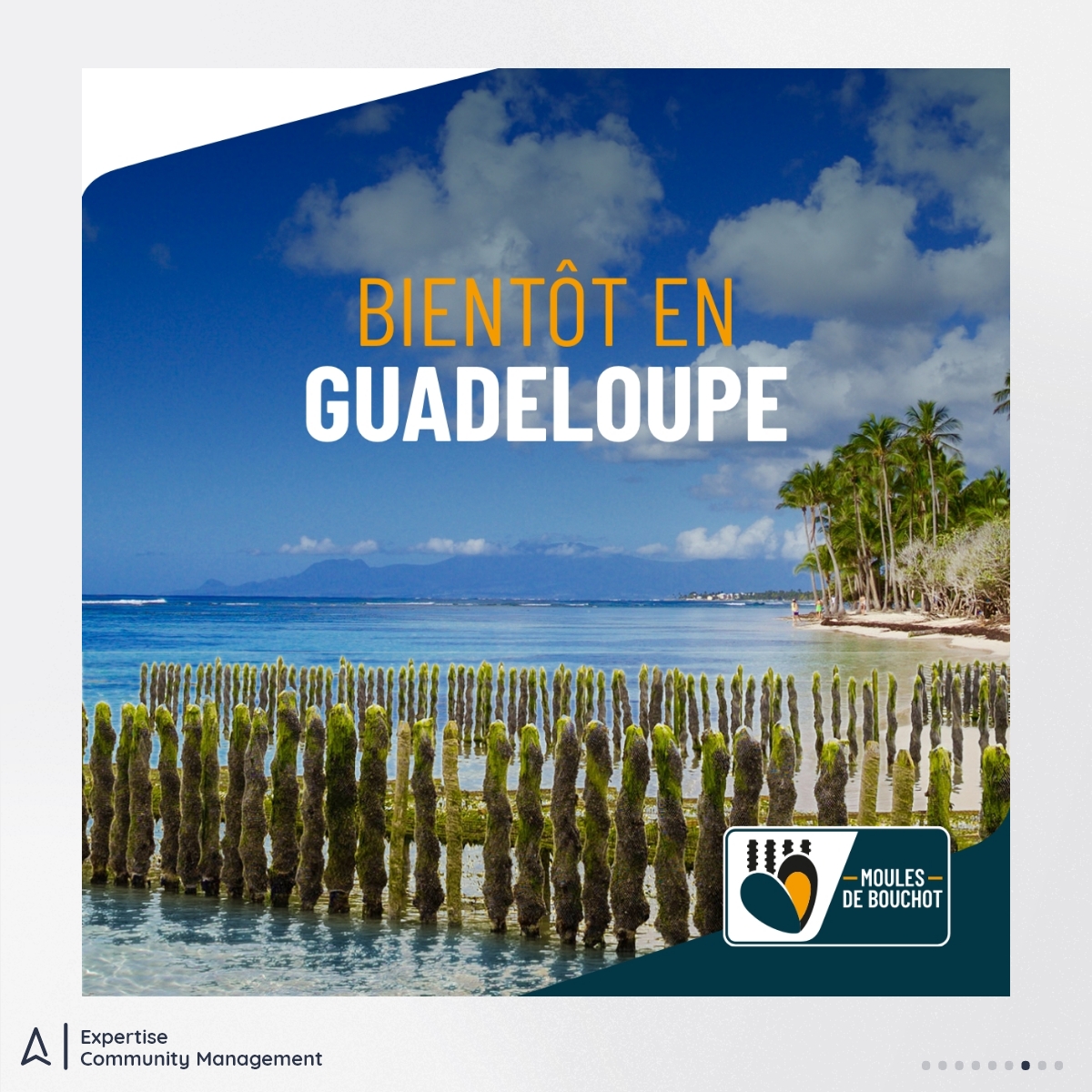 addviso's tweet photo. Chez Addviso, ce ne sont pas les idées qui manquaient pour le 1er avril ! 🐟 Oeufs sans jaune, yaourt au lait d'hermine, porte d'entrée en kit... nous avons réussi à piéger quelques abonnés. Et vous, quels sont les poissons d'avril qui vous ont marqués ? https://t.co/0xWWVybQq8