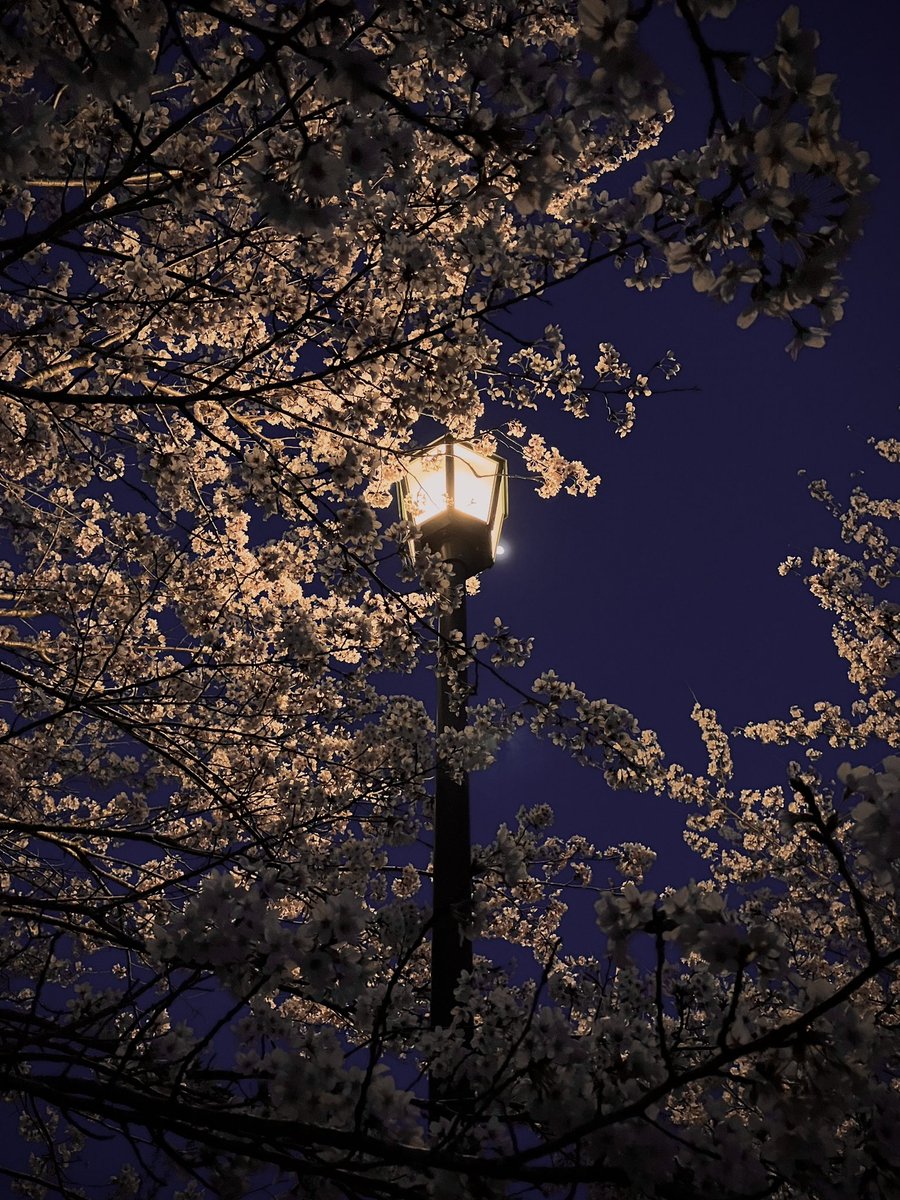 classic-mania tweet media