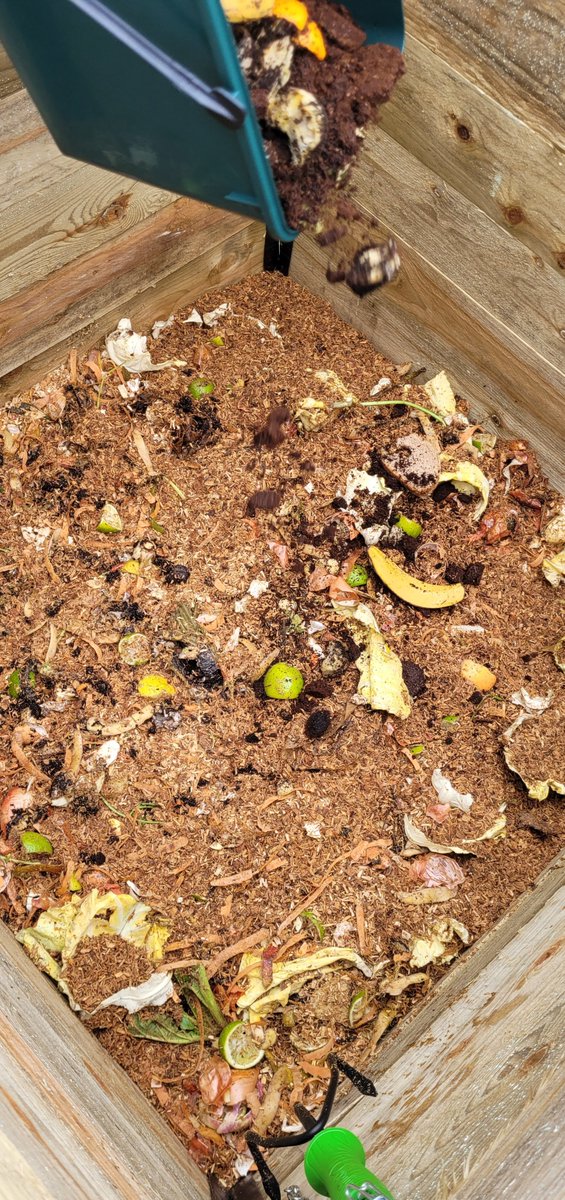 Delphine Bonté Foviaux  tweet media