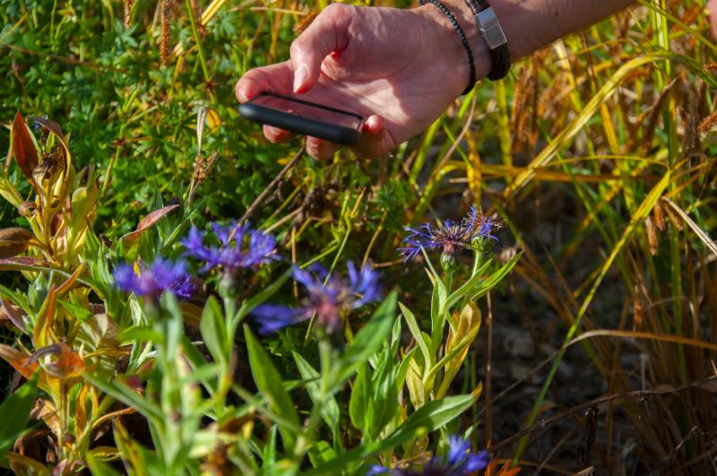 Le_Museum's tweet photo. 📱 Découvrez la biodiversité qui vous entoure avec l'application gratuite INPN Espèces ! 🦋 Scolaires ou simples curieux de la nature, améliorez vos connaissances sur la faune et la flore et faites avancer la recherche scientifique 👉 https://t.co/dmEUj5zWNb https://t.co/Gt0mtoxIch