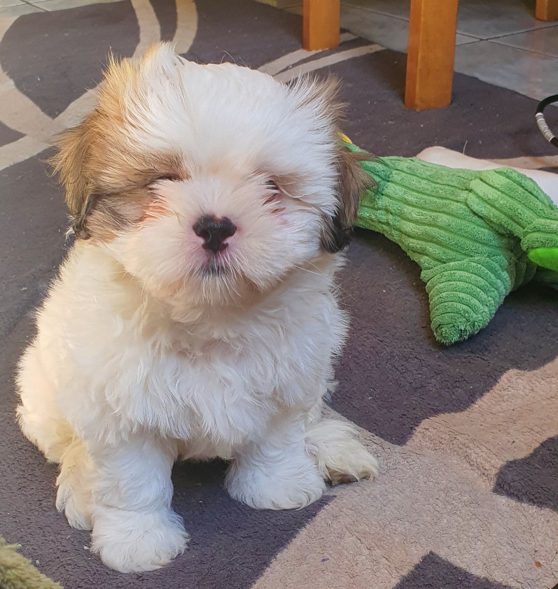 ◢◤ Profeta ◢◤ tweet media