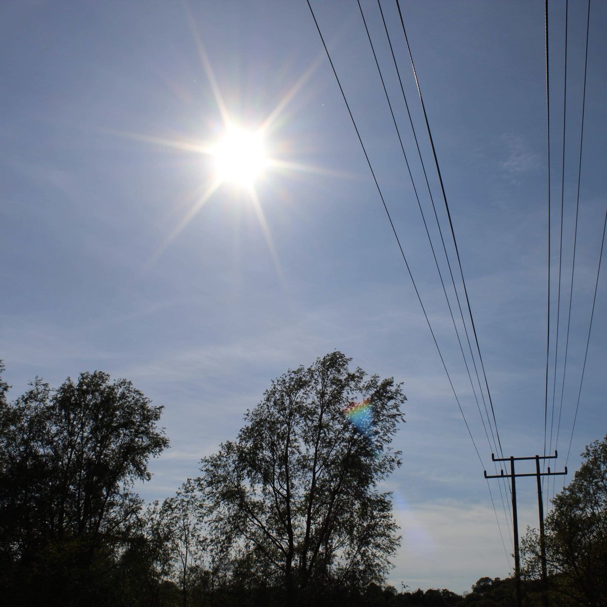 Undead at Heart tweet media