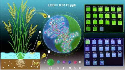bhkenlo's tweet photo. Visual and Real-Time Monitoring of Cd2+ in Water, Rice, and Rice Soil with Test Paper Based on [2 + 2] Lanthanide Clusters https://t.co/CKWnUeHZ1r Zeng and co-workers @InorgChem #cadmium #lanthanide #clusters #2plus2 #water #rice #soil #test_paper https://t.co/kvQudTG4xC