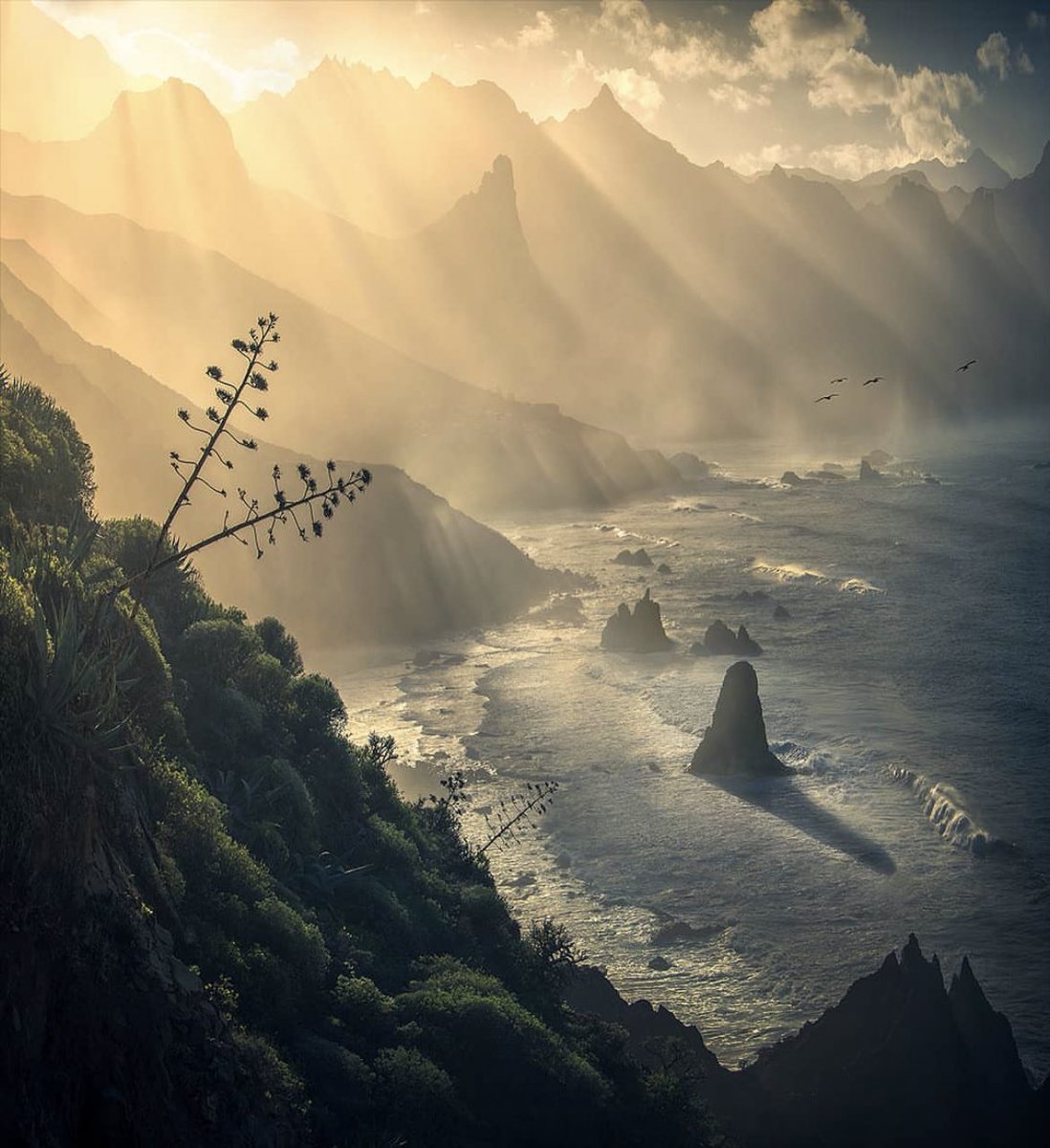 Sunset at the coast, Tenerife