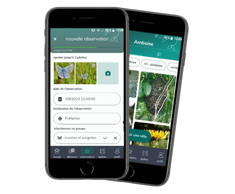 Le_Museum's tweet photo. 📱 Découvrez la biodiversité qui vous entoure avec l'application gratuite INPN Espèces ! 🦋 Scolaires ou simples curieux de la nature, améliorez vos connaissances sur la faune et la flore et faites avancer la recherche scientifique 👉 https://t.co/dmEUj5zWNb https://t.co/Gt0mtoxIch