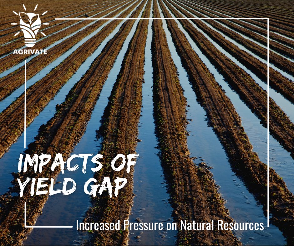 AgrivatePk's tweet photo. (1/2) The #yield  gap in #agriculture in #Pakistan has led to increased pressure on natural resources, including #land and #water as #farmers may need to use more of these #resources to achieve #higheryields.

#agrivate #InnovativeSolutions https://t.co/U3eDZD42b4