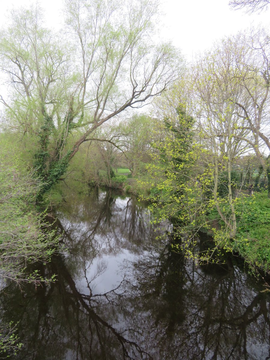 Una Dixon tweet media