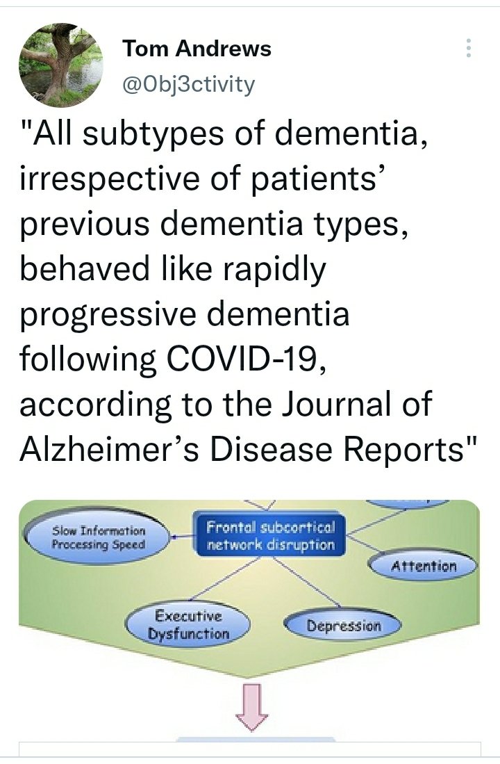 DurianLiftOff's tweet photo. #OnTheBrain
On rapidly-progressing dementia, blurred lines and SARS-CoV-2.
🌿 https://t.co/lAD847cpc8
#C19 https://t.co/L3DZHEnliP