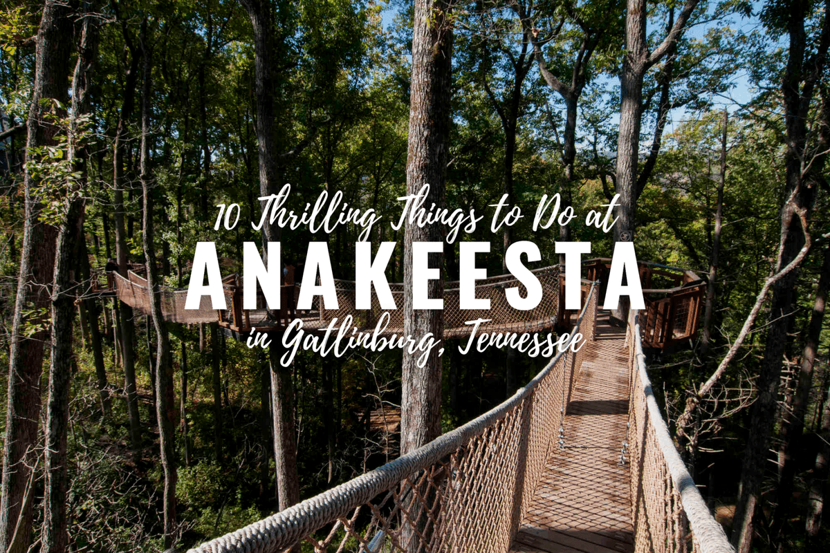 One of the most interesting things to do in @TravelGBurg is to visit @AnakesstaTN. Shopping, dining, recreation, and stunning views await all visitors. #travel @TNVacation Read the 10 things to do at Anakeesta at roadtripsandcoffee.com/anakeesta-gatl…