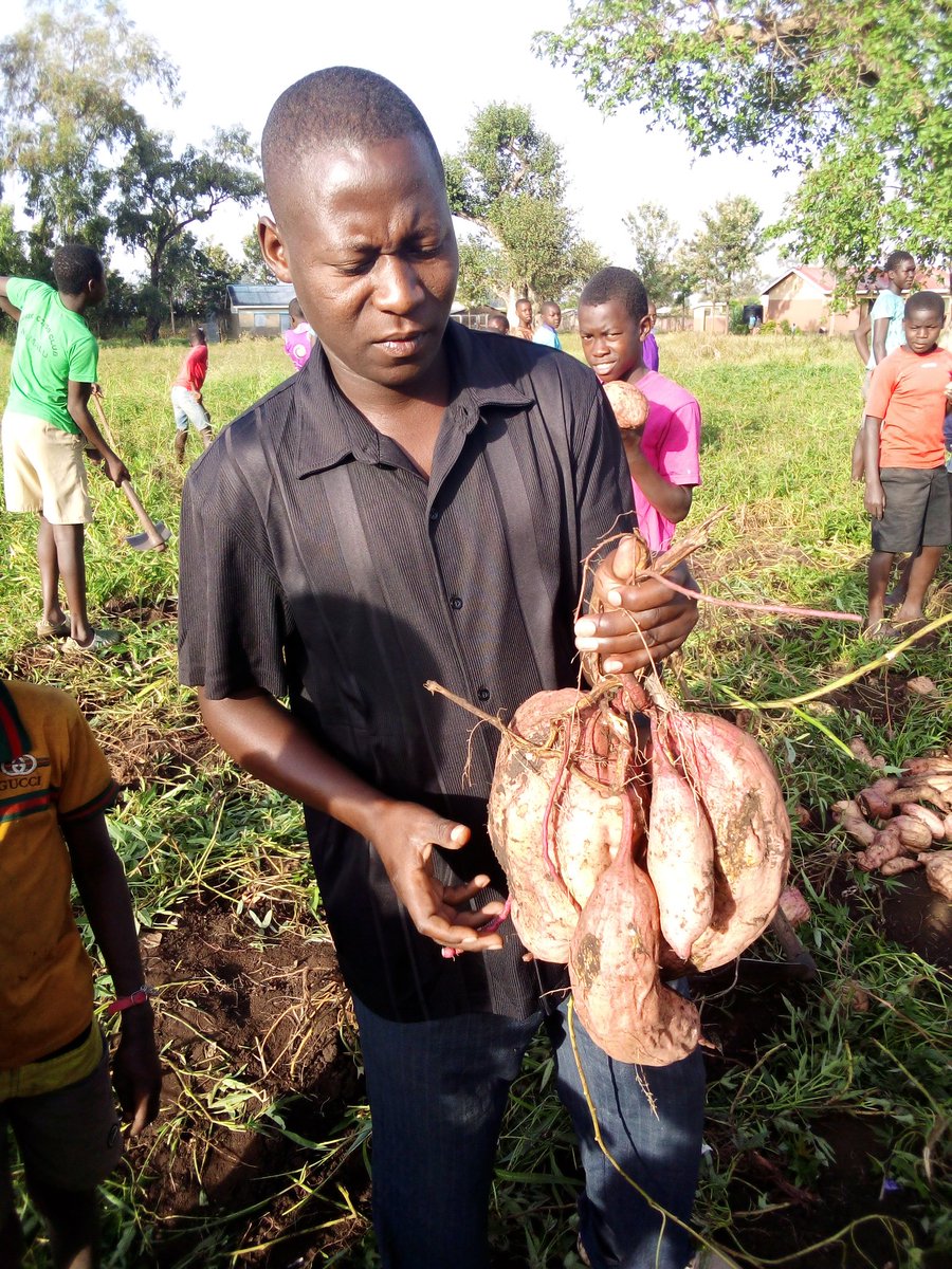 MasanjaInocent's tweet photo. Food security first https://t.co/xFGq3TUvjQ