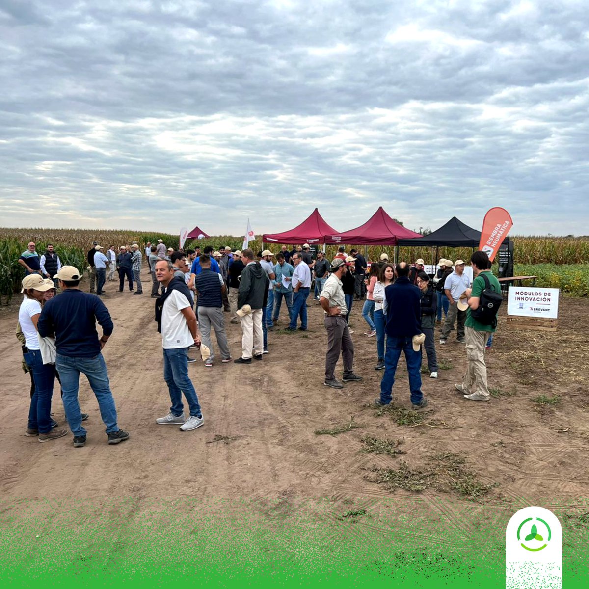 AgroconsultorSA's tweet photo. #Ahora 🆙

¡El #MIBDiegoDeAlvear arrancó a pleno!

Un nuevo encuentro donde compartimos #BuenaData para hacer una producción más eficiente 💯💪🌱

@BrevantSemillas @YaraArgentina #AgriculturaConTodo https://t.co/o1ybaE1949