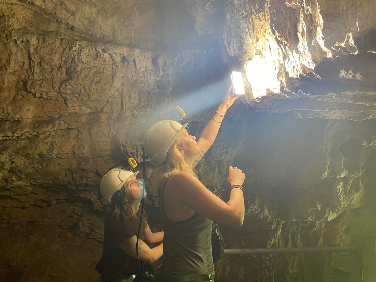 Creswell Crags is a place of ongoing research as we strive to learn more about the history hidden in the caves. On 15th April we're hosting a series of expert talks about past and future research and the history of the Crags. Join in person or online. shorturl.at/DPW47