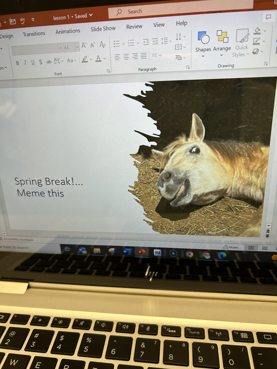 When you capture the perfect picture of your pony over spring break…. Welcome back everyone!