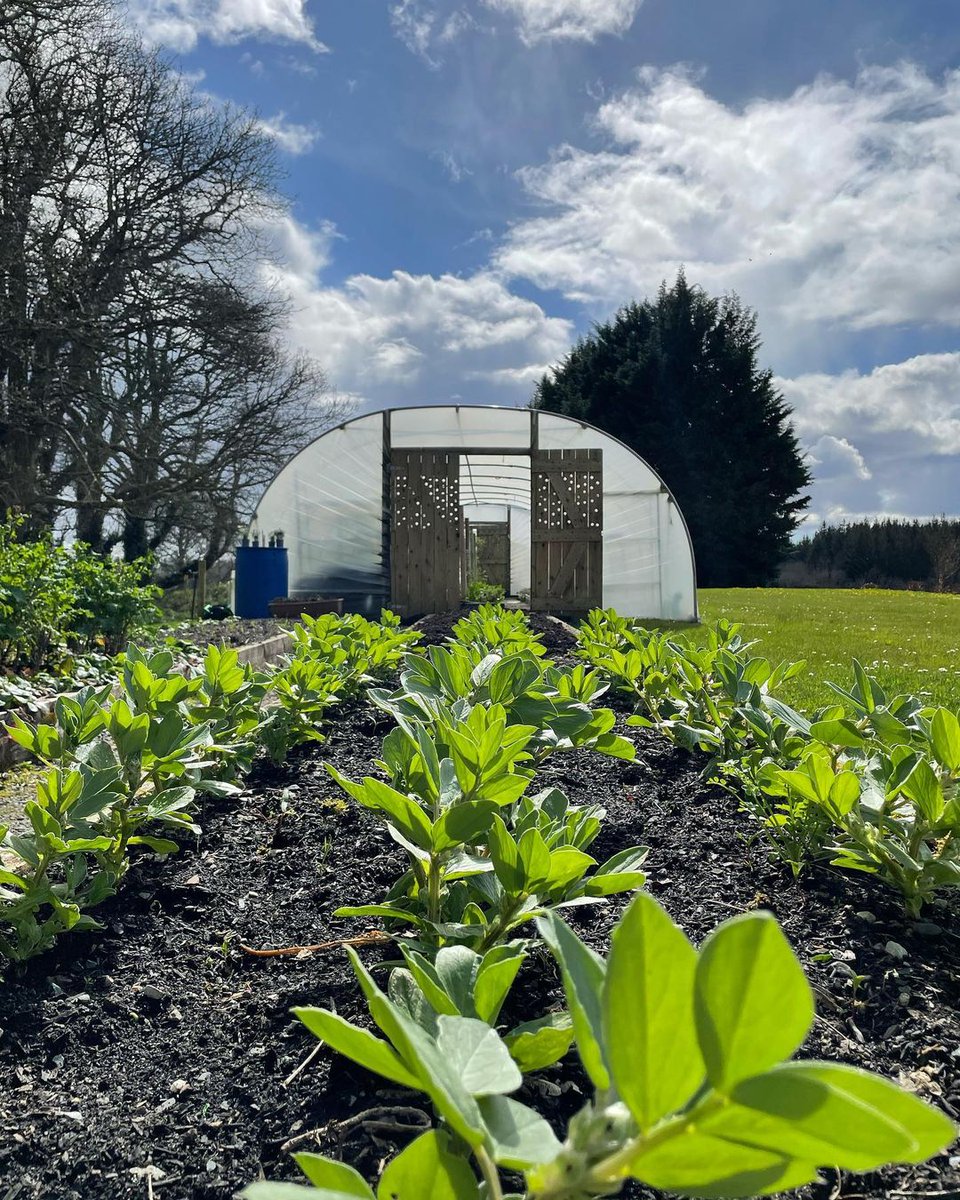TheLodgeAshford's tweet photo. Keeping it local, seasonal and sustainable at #TheLodgeAC 🌱

Plenty of seasonal produce is currently growing in our polytunnels, including Rosemary, Rocket, Spinach, Raspberry, and Asparagus!

#HowWeTreadRight #BeyondGreen #AshfordEstate  #RedCarnationHotels https://t.co/gyxyfFQPmB