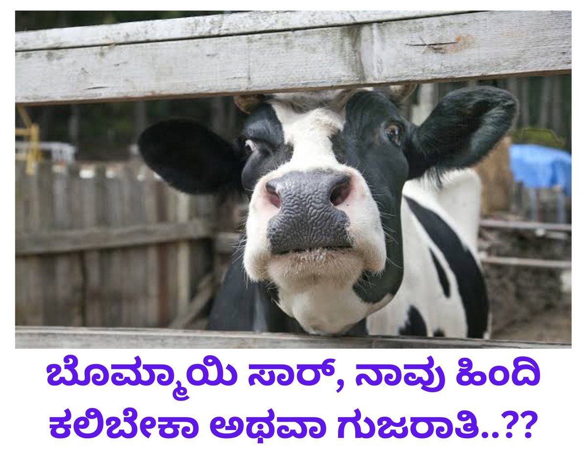 MohanDasari_'s tweet photo. ಬೋಮ್ಮಾಯಿ ಸಾರ್, ಹಿಂದೀ ಅಥವಾ ಗುಜರಾತಿ ಕಲಿಸುತ್ತೀರಾ..??
#SaveNandiniFromRollCalls
#nandhini #gobackamul #AmulNandini #ನಂದಿನಿಉಳಿಸಿ #ನಂದಿನಿಬೆಳಸಿ #ನಂದಿನಿ https://t.co/DNKMKXO765