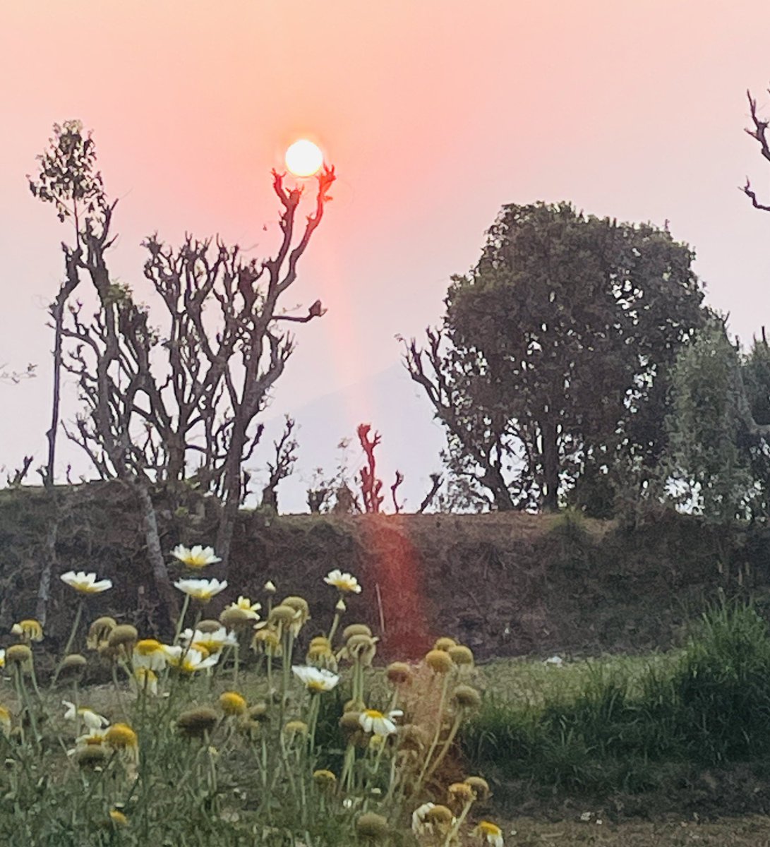 फुललाई सोध्नु ... ... बाकि <a href="/wagle_07/">अमुर्त ®✌</a>  सरले थप्नुस ल🫠