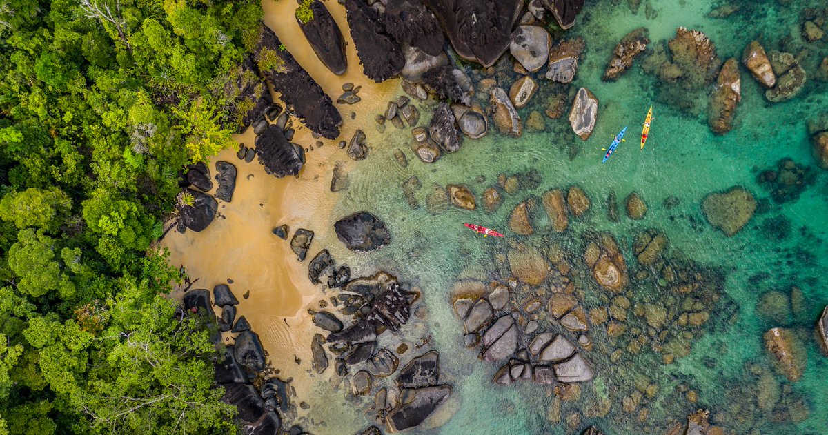 dadamanga's tweet photo. Escape to the breathtaking beauty of Madagascar's Masoala National Park!
Step out of the ordinary. Visit Madagascar With Dadamanga 📷📷
#dadamangatravel #masoalaforest #masoala #masoalanationalpark #Madagascar #NatureLovers #TravelAdventure #traveltime
📷 Masoala Forest Lodge https://t.co/KXlCffmDb5