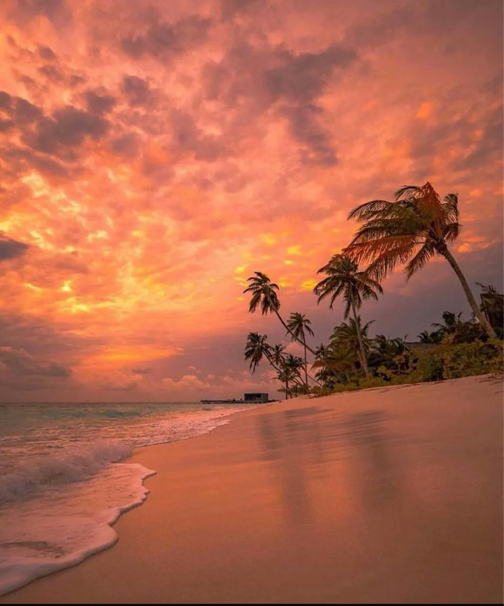 aestheticspost_'s tweet image. Sunset in Maldives
