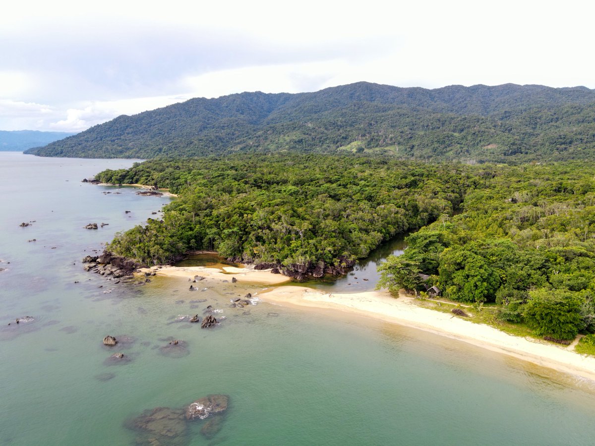 dadamanga's tweet photo. Escape to the breathtaking beauty of Madagascar's Masoala National Park!
Step out of the ordinary. Visit Madagascar With Dadamanga 📷📷
#dadamangatravel #masoalaforest #masoala #masoalanationalpark #Madagascar #NatureLovers #TravelAdventure #traveltime
📷 Masoala Forest Lodge https://t.co/KXlCffmDb5