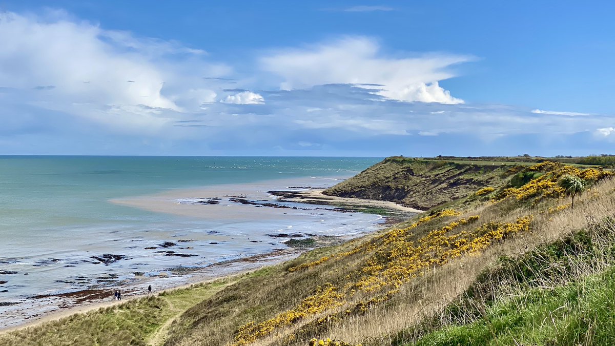 It was a busy B/H Monday in <a href="/Rosslareuroport/">Rosslare Europort</a> with 5 ships in or around port and 2 more on the way <a href="/BrittanyFerries/">Brittany Ferries</a> <a href="/StenaLineUKIE/">Stena Line UKIE</a> @DFDSGroup <a href="/finnlines_group/">Finnlines Group</a> <a href="/wexfordcoco/">Wexford County Council</a> <a href="/VisitRosslare/">Visit Rosslare Harbour</a> @NI_Ferry_Site @