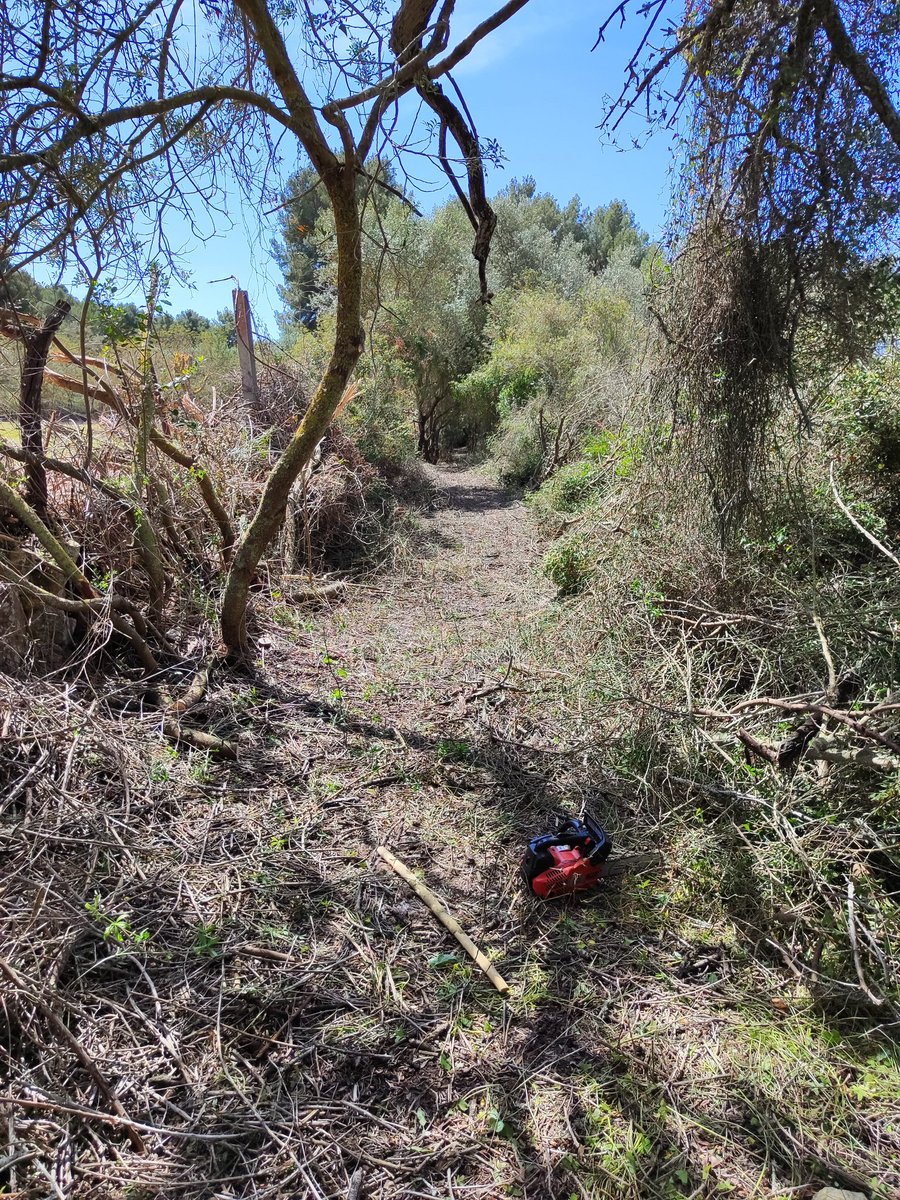 MallorcaNon's tweet photo. Investigació, informació i recuperació de camins i tiranys en desús de fa gairebé un segle.
Aquest el batiarem amb el "Es Pas Des Soldats"
Que tothom pugui gaudir-lo amb cura i respecte.🙏
Aquest 2023 ja en portam 2 de recuperats 👌
#SA200
#NonStopMallorca https://t.co/PhBiqtHZvM