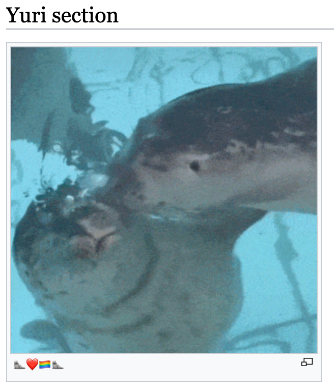 Wiki Camp 2 moments that went hard tweet media