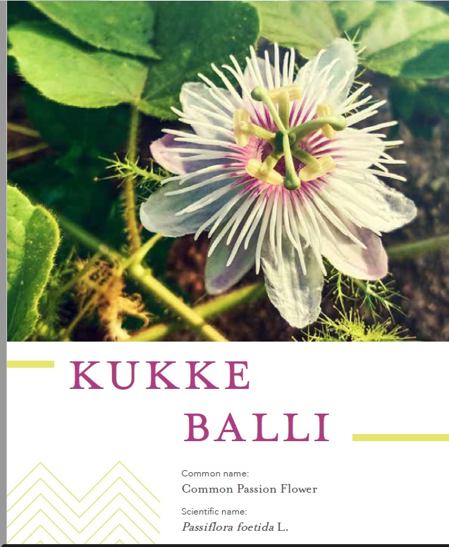 MundoliSeema's tweet photo. We are very thrilled to share our latest publication: A guide to wild edible plants collected by women of Bengaluru. Includes recipes &amp; home remedies shared generously by the women foragers. Download from https://t.co/yq5cibXwEy
@ran_murali @HariniNagendra @azimpremjiuniv https://t.co/BExC6oPSke