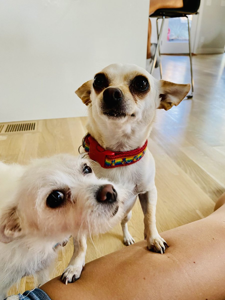 Shaun McCarthy tweet media