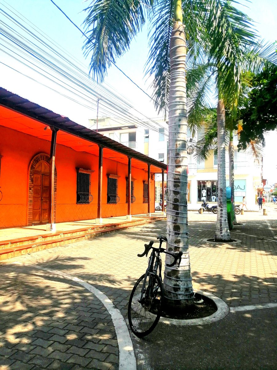 Edwin_Joya's tweet photo. 🌴🚲🌴.
#shimano105 #focusparalane #focusbikes #rider #focusbicicletas #focus #Carretera #Bicicleta #bici #montaña #ciclismo #Ruta #ciclyngphoto #ciclismocolombiano #ciclismocolombia #cyclinglife #cyclingphotos #soyciclista #voyenbici https://t.co/WzicxIQ13m